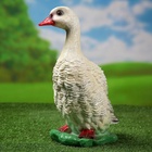 Садовая фигура из гипса «Московская утка», 37×17×21 см - Фото 13