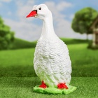 Садовая фигура из гипса «Московская утка», 37×17×21 см - Фото 11