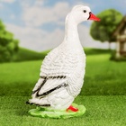 Садовая фигура из гипса «Московская утка», 37×17×21 см - Фото 10