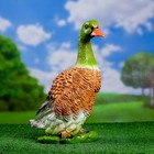 Садовая фигура "Селезень" 37х22см - Фото 5