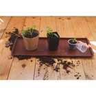 Поддон для рассады, 48×14×2 см, пластик, цвет МИКС - Фото 6