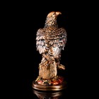 Статуэтка "Орёл", бронза, гипс, 31 см, микс - Фото 2