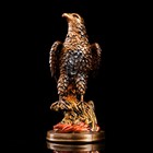 Статуэтка "Орёл", бронза, гипс, 31 см, микс - Фото 5