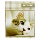 Дневник универсальный 1-11 класс "Кошка", мягкая обложка - Фото 1