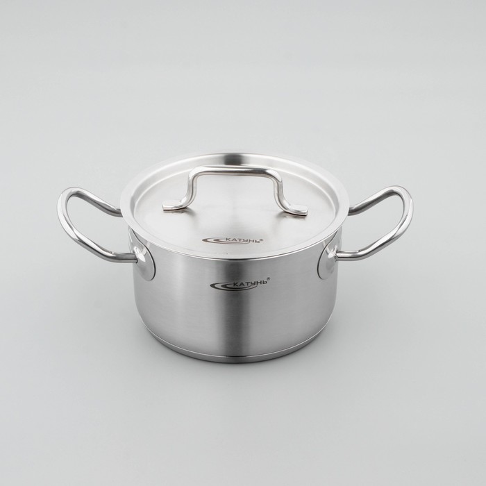 Кастрюля Катунь «Общепит», 2 л, d=16 см, h=10 см, капсульное дно, индукция, нержавеющая сталь - Фото 1
