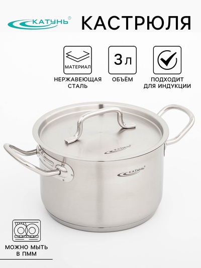 Кастрюля Катунь «Общепит», 3 л, d=18 см, h=12 см, капсульное дно, индукция, нержавеющая сталь