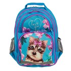 Рюкзак школьный с эргономической спинкой Luris Пиноккио 36x23x13 см для девочки, «Собачка» - Фото 1