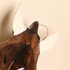 Маска «Зебра», 30×16×7 см, дерево - Фото 4