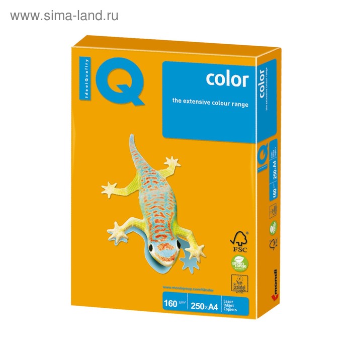 Бумага цветная А4 250 л, IQ COLOR, 160 г/м2, интенсив старое золото, AG10 - Фото 1