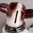 Копилка "Собака Чихуахуа", глянец, бело-коричневая, 16 см - Фото 5