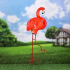 Садовая фигура "Фламинго", розовый цвет, 65 см - Фото 4