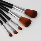 Набор кистей для макияжа "Элит", 10 предметов, на кнопке, цвет красный - Фото 2