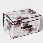 Короб стеллажный для хранения с крышкой Доляна «Астра», 40×30×25 см, цвет коричневый - фото 3343826