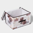 Короб стеллажный для хранения с крышкой Доляна «Астра», 40×30×25 см, цвет коричневый - Фото 2
