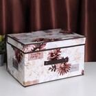 Короб стеллажный для хранения с крышкой Доляна «Астра», 40×30×25 см, цвет коричневый - Фото 3