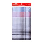 Набор мужских носовых платков Etteggy, 40х40 см- 6шт, жаккард ситец - Фото 4