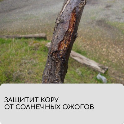 Бинт садовый, 10×0.08 м, плотность 60 г/м², спанбонд с УФ-стабилизатором, белый, Greengo, Эконом 20%