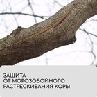 Бинт садовый, 10 × 0,08 м, плотность 60 г/м², спанбонд с УФ-стабилизатором, белый, Greengo, Эконом 20% - Фото 7