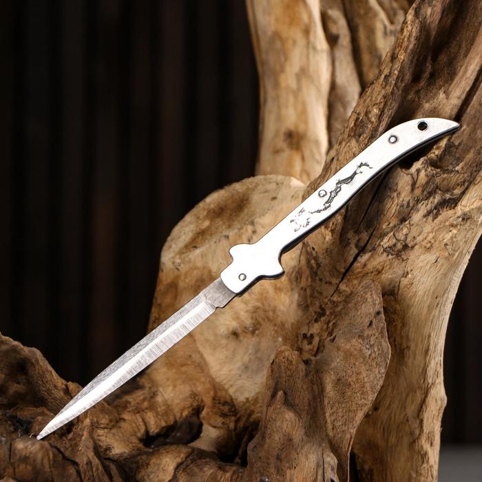Нож складной "Дракон" 15см, клинок 62мм/1мм - фото 1908219011
