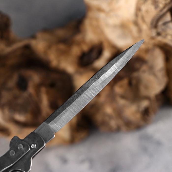 Нож складной "Дракон" 15см, клинок 62мм/1мм - фото 1908219015