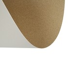 Картон хром-эрзац А4 (21 х 30 см), немелованный, 0.35 мм, 260 г/м2 - Фото 2