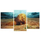 Модульная картина на стекле "Царь зверей" 2-30х40, 30х50см (90х50см) - Фото 1