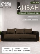 Coffee/sunny dark brown