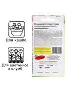 Семена цветов Петуния крупноцветковая Сан Ремо Кружевница F1, О, 10 шт - Фото 3
