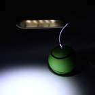 Светодиодная лампа "Теннисный шар", 5 диодов, USB - Фото 3