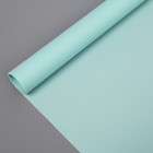 Штора рулонная «Эконом», 50 х 160 см, цвет светло-зелёный - Фото 1