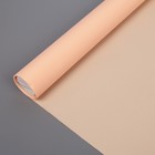 Штора рулонная «Эконом», 60 х 160 см, цвет персик - Фото 1