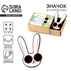 Значок в коробочке «Заяц» 5×4 см - Фото 1