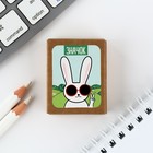 Значок в коробочке «Заяц» 5×4 см - Фото 6