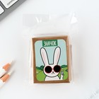 Значок в коробочке «Заяц» 5×4 см - Фото 8