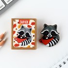 Значок в коробочке «Енот» 5×4 см - Фото 2