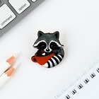 Значок в коробочке «Енот» 5×4 см - Фото 3