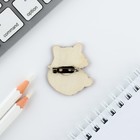 Значок в коробочке «Енот» 5×4 см - Фото 4