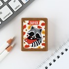 Значок в коробочке «Енот» 5×4 см - Фото 6