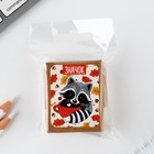 Значок в коробочке «Енот» 5×4 см - Фото 8