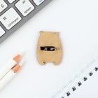 Значок в коробочке «Панда» 5×4 см - Фото 3