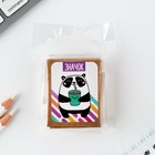 Значок в коробочке «Панда» 5×4 см - Фото 8