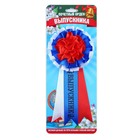 Значок - орден на выпускной «Выпускник», d=8 см - Фото 2