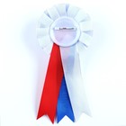 Значок - орден на Выпускной «Выпускник», d = 8 см. - Фото 4