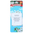 Значок - орден на выпускной «Выпускник», d=8 см - Фото 6