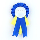 Значок - орден «Выпускник детского сада», d=9 см - Фото 4