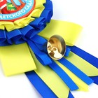 Значок - орден «Выпускник детского сада», d=9 см - Фото 5