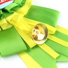 Значок - орден на Выпускной «Выпускник детского сада», d = 9 см - Фото 5