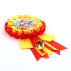 Значок - орден на выпускной «Выпускник детского сада», d=9 см - Фото 3