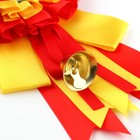 Значок - орден на выпускной «Выпускник детского сада», d=9 см - Фото 6