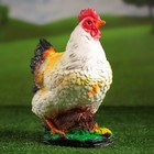 Садовая фигура "Курица" разноцветная 34см - Фото 1